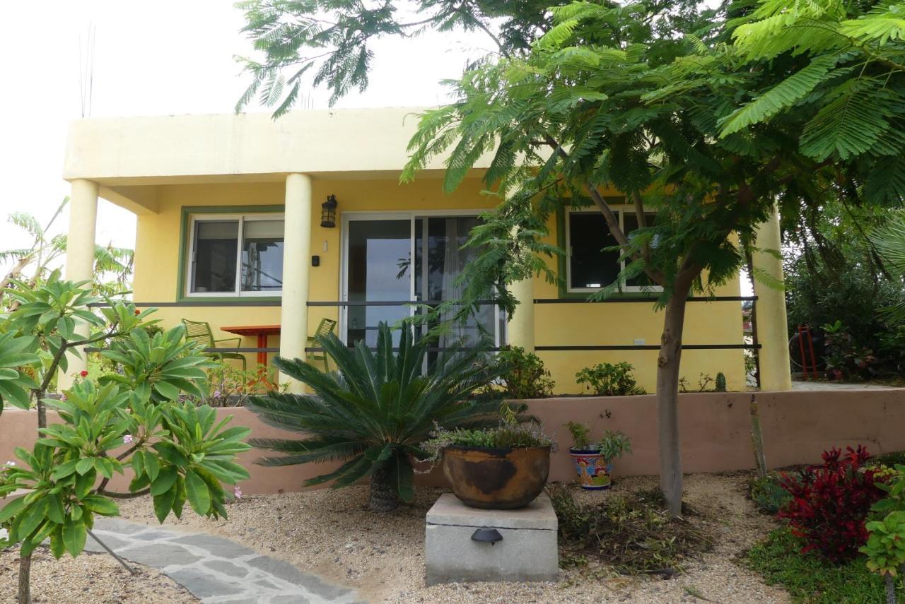 Casa Flores Casitas Todos Santos Exterior foto